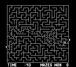 The Amazing Maze Game