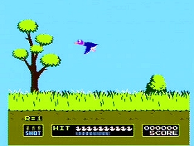 Duck Hunt