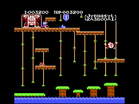 Donkey Kong Junior