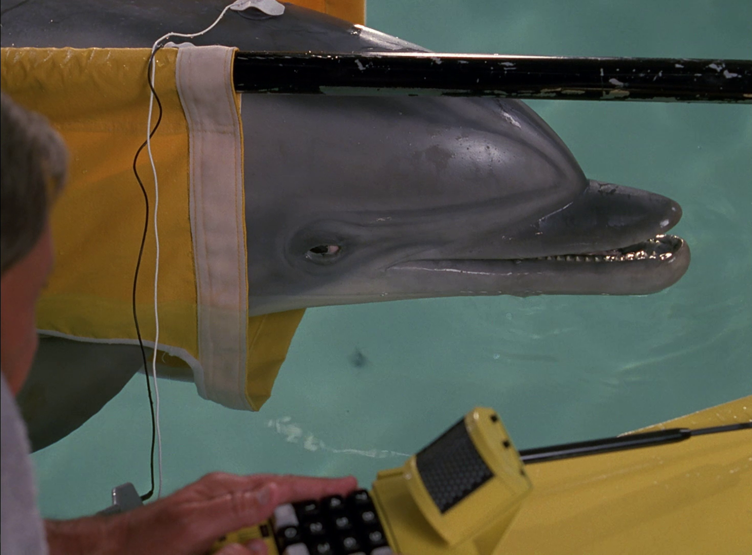 seaQuest DSV: The Complete Series